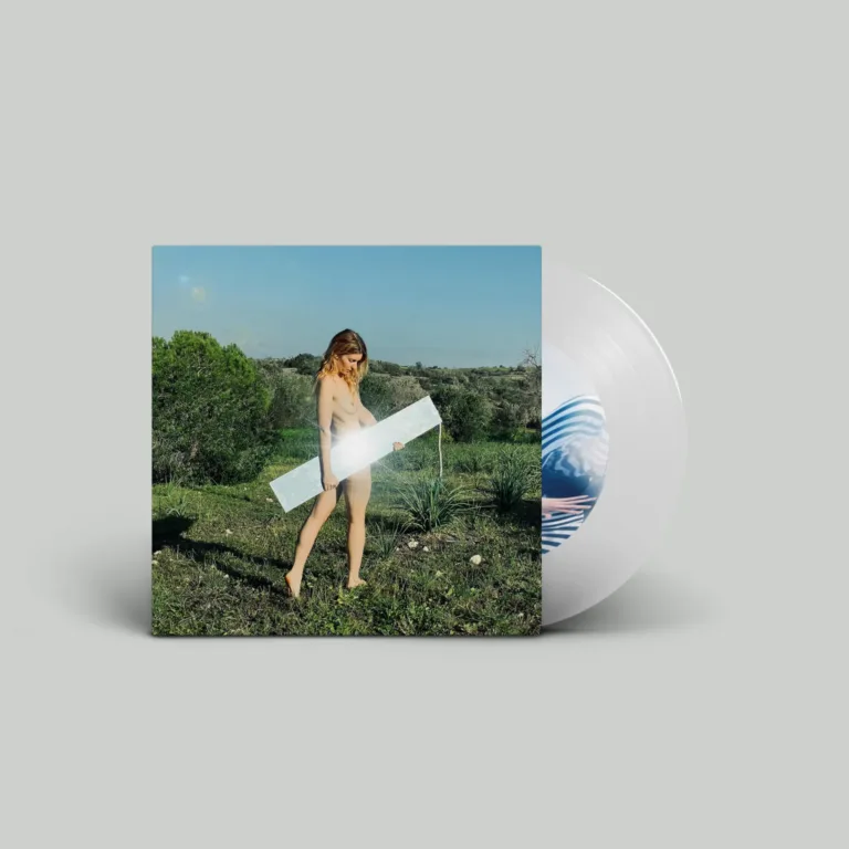 Vinylplaat en hoes in natuursetting