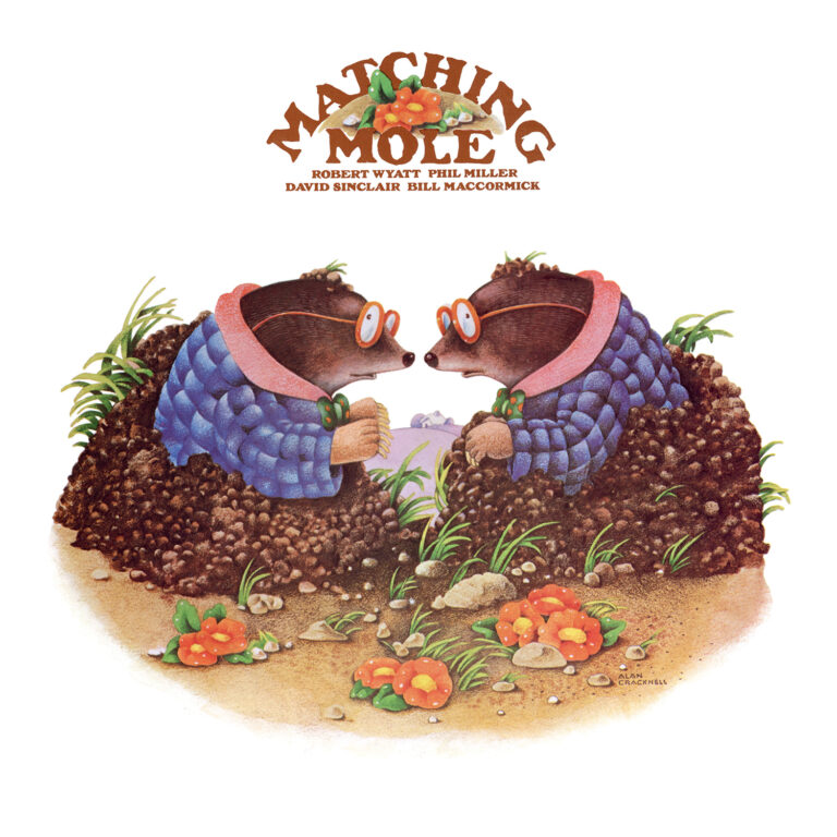matching mole cover