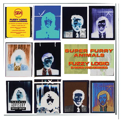 super furry animals fuzzy logic b sides and besides front era